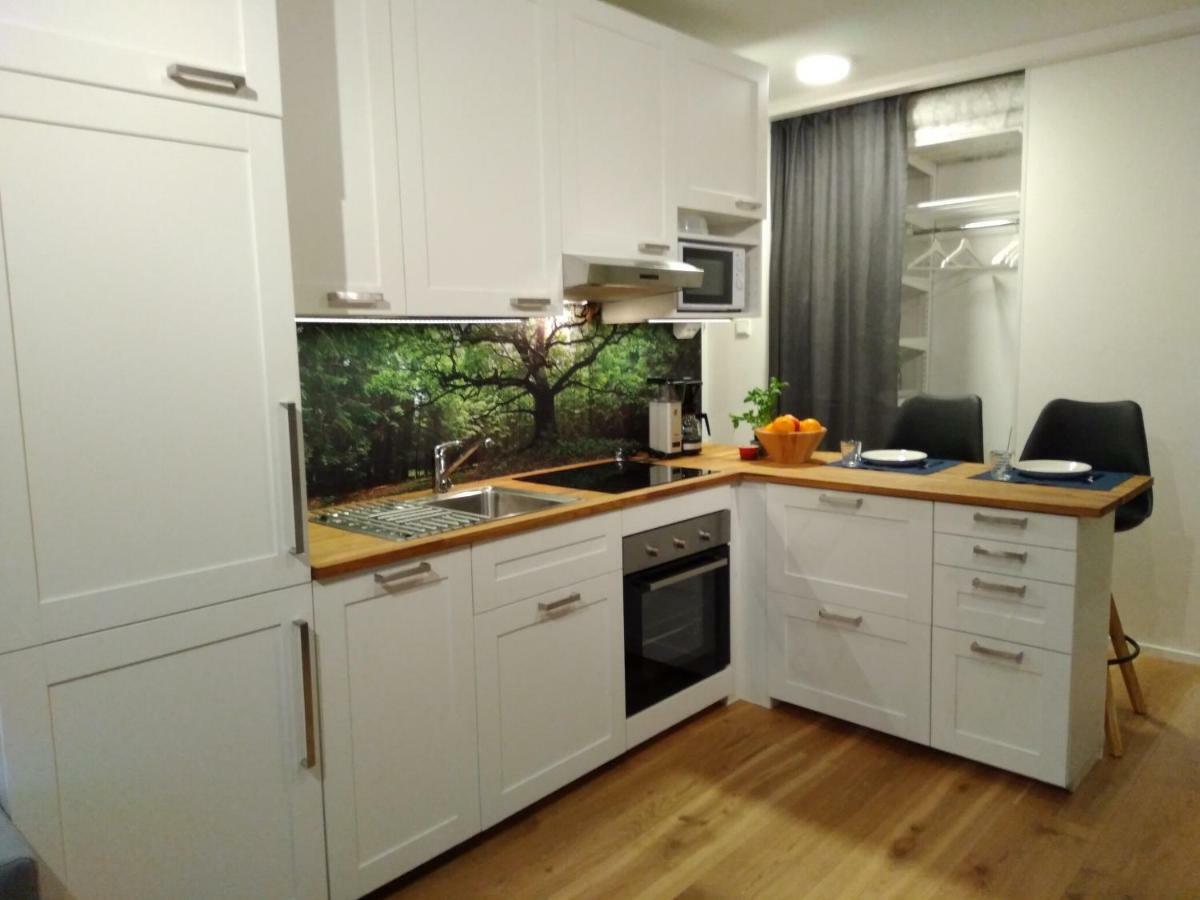 Studiohuoneisto Lohjan Keskusta ภายนอก รูปภาพ